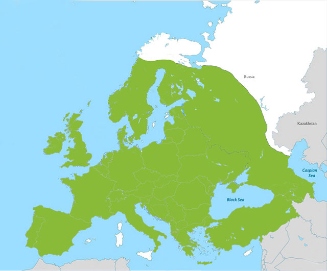 Badger European distribution